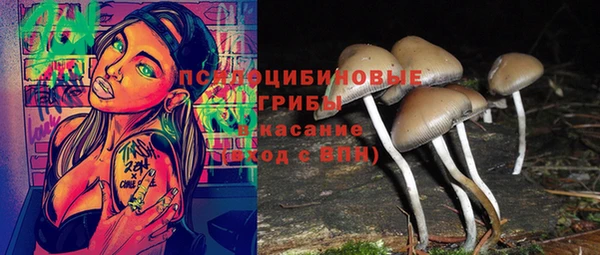 марки nbome Нязепетровск